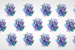 Rugilė-Kaminskaitė-5kl..2020m