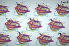 Juras-Lengvenis-5kl..2020..