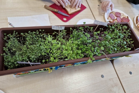 346103376_627532792597600_6643195878637910732_n