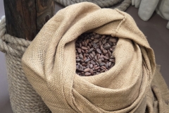 20251027_111218 20251027_111218