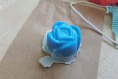 121229700_371024817591875_4420704686382874649_n