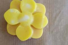 121455860_648550555863865_6765759361021084629_n