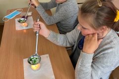 121484083_2778048722465869_8879909871641612819_n