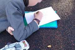 120349457_679354732960808_2386190175922831130_n