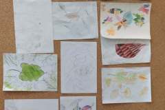 120362990_799683700853808_8718799199287787774_n