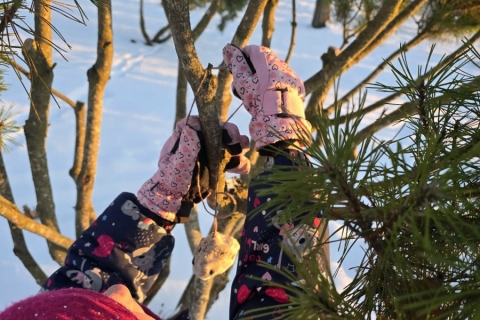 c8458a70-eeb7-4213-9a81-2bd1debd7347