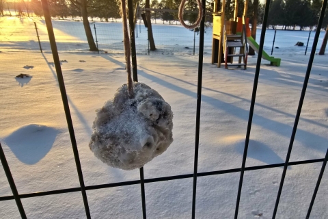 c9aa9930-c2e1-4b22-b5e7-35cf5ed6d374