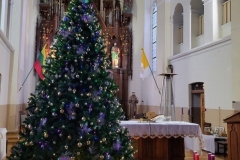 image8