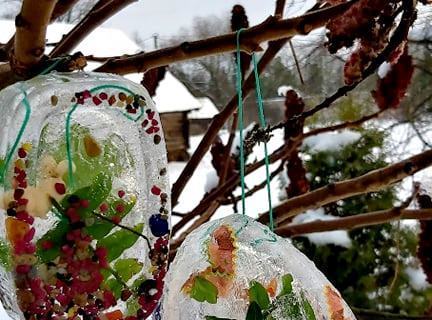 140537309_2931438037084235_2420609217046062331_n