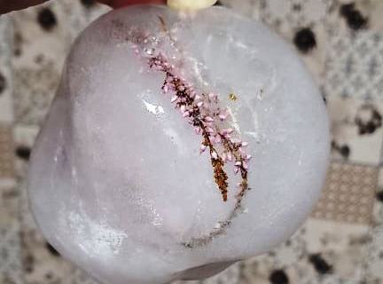 140572858_409297203669903_4959774895907577960_n