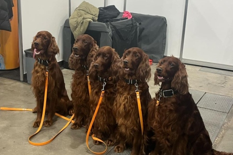 Messenger_creation_52CA5F4F-51EB-4A32-BC57-9F18A20F3996