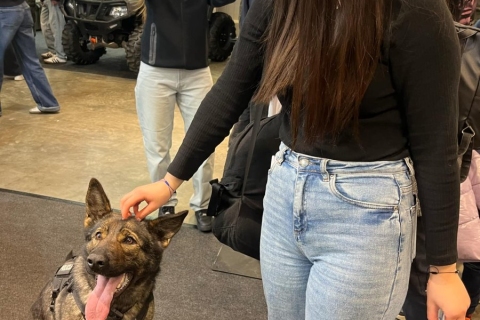 Messenger_creation_E428A2D7-7A74-4AF9-992D-E7F91C863A56