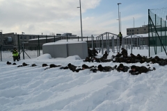 5467594e-9c01-46cf-98e4-65e53ee87ad3