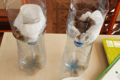 119104295_625117454862642_8904083188936603648_n