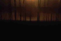 540dd266-2bf0-4ff0-893d-5592e4f89052