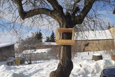 146655546_264090225131830_1842815689656376044_n