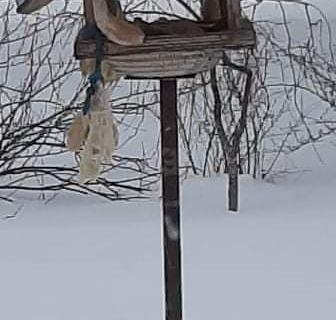 148485416_128828239105488_4997896826741557963_n