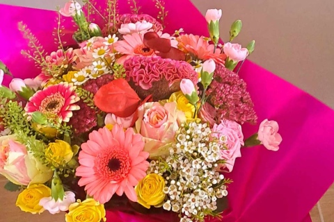 384535562_3542461816037299_6921817734844812888_n