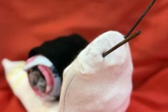 c55932fb-9fb4-40e2-8bea-af9f6e896592