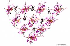 Arminas-Belskis-5kl.-2020