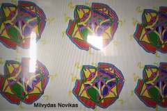 Milvydas-Novikas-5kl..3