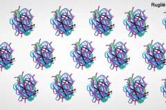 Rugilė-Kaminskaitė-5kl.