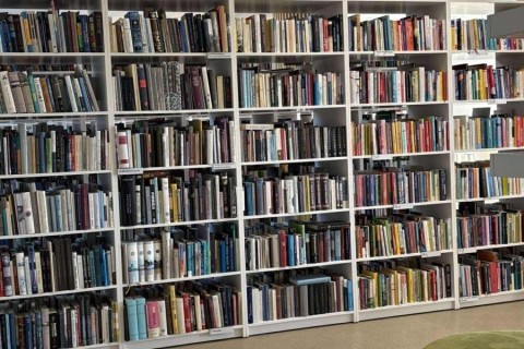 555742241_1501156564246206_2313344670094236438_n