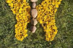 received_723984448340600