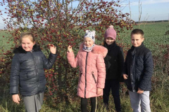 IMG-d0ee816232ab0082711afc95a844669f-V