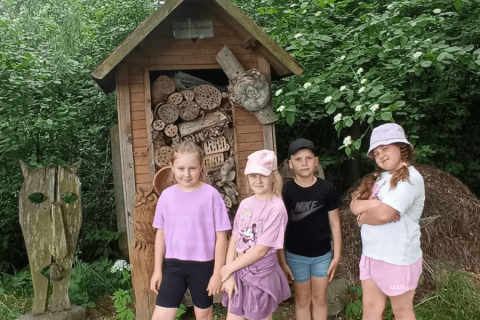 8b9852e5-4285-4e75-b559-bad5a2182a1d