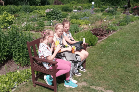 cf3912ea-e169-43b5-addd-0807f0687300