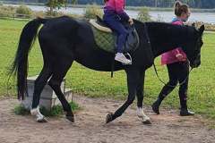 120111984_2391575201137854_6953005765660290698_n