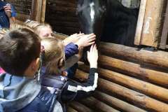 120118245_663301797896329_4528152783070859104_n