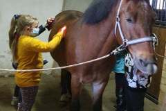 120171309_2792801774334701_3129418540306472672_n