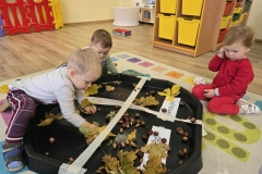 a05d9d2e-af9a-4bd0-8125-a7e3d85ec742