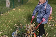 b162fb01-b075-42fb-b1ba-e99a6faf6f19