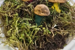 cb54342a-f2e6-4378-a3e0-33839ce1907d