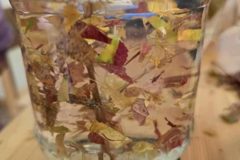 918b67f6-3891-4180-bddd-0c97322e8796