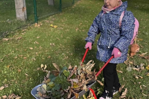 b162fb01-b075-42fb-b1ba-e99a6faf6f19