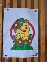 340135289_3497895750451170_5622080999900039645_n