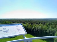 Išvyka į Kamanų vastybinį gamtinį rezervatą