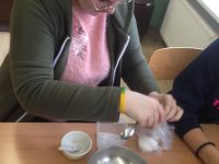 II gimn. klasės mokiniai atliko tiriamąjį darbą