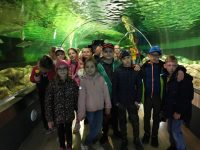 Gruzdžių gimnazijos pradinukų išvyka į Klaipėdą 2022