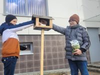 Pagalba paukšteliams žiemą