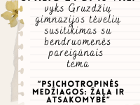 Susitikimas