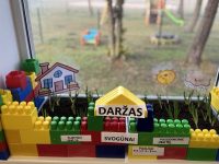 Ilgalaikis projektas „Daržas ant palangės“