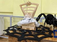 Rudens atostogų pasitikimas