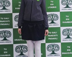 „Dainų Dainelė – 2025“ I etapas