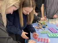 Kūrybinė chemijos  pamoka prieš šventes