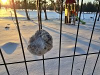 Į pagalbą paukšteliams